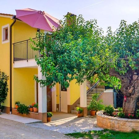 Studio Apartment Gianni Vižinada Exteriér fotografie