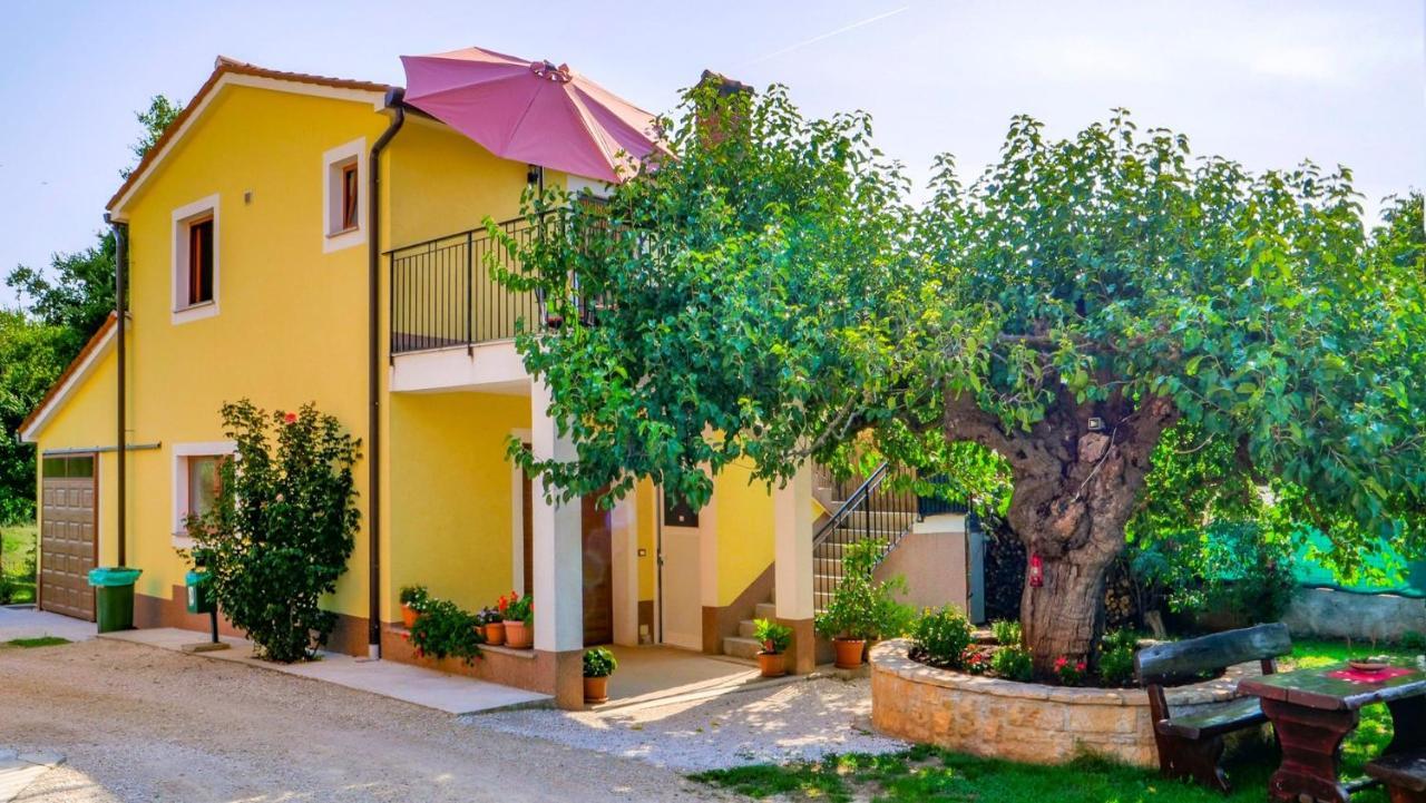 Studio Apartment Gianni Vižinada Exteriér fotografie