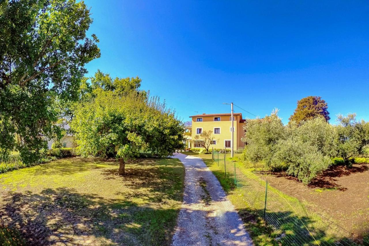 Studio Apartment Gianni Vižinada Exteriér fotografie