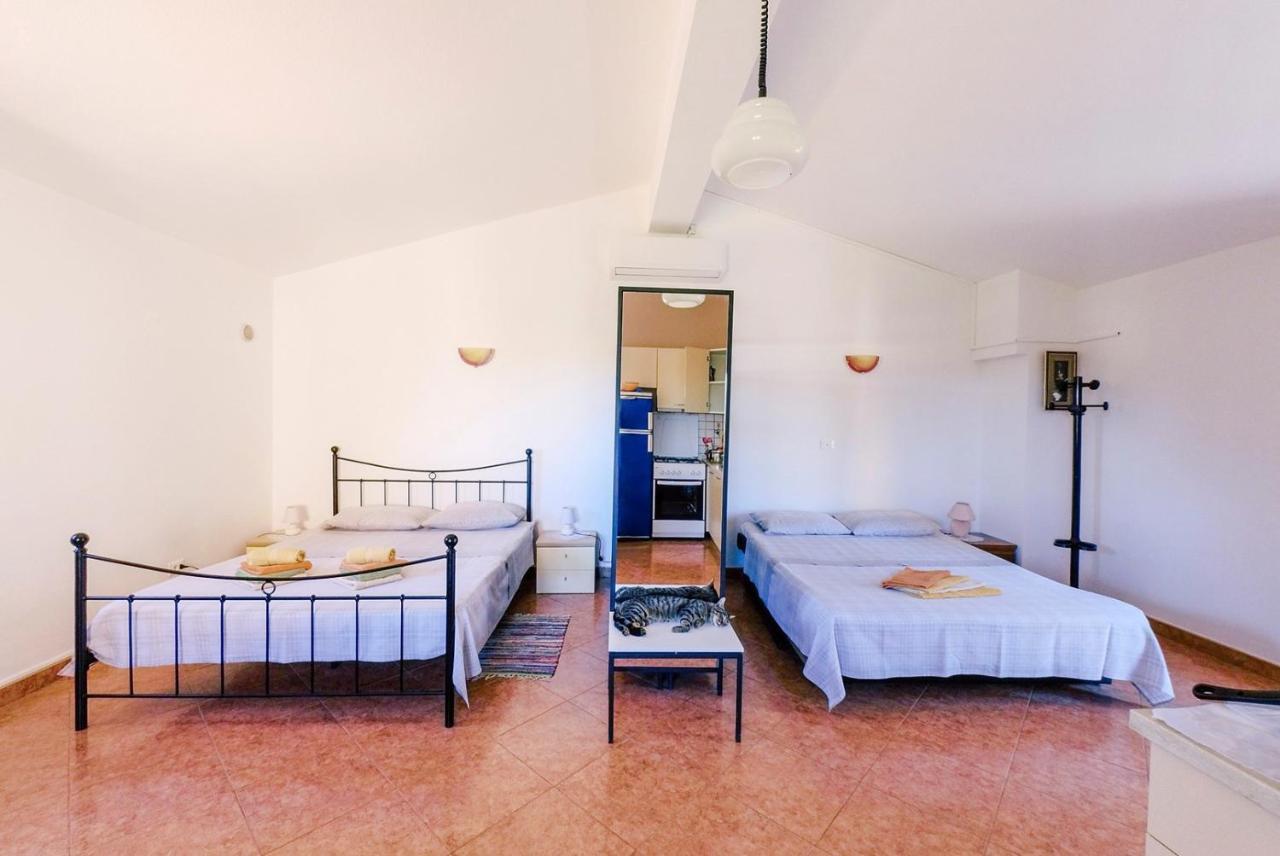 Studio Apartment Gianni Vižinada Exteriér fotografie